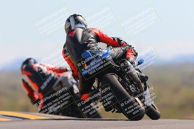 media/Oct-09-2022-SoCal Trackdays (Sun) [[95640aeeb6]]/Turn 9 Backside (120pm)/